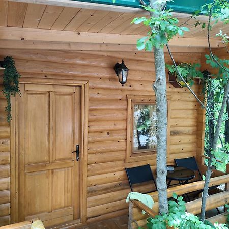 Still Cabin Cetinje Luaran gambar
