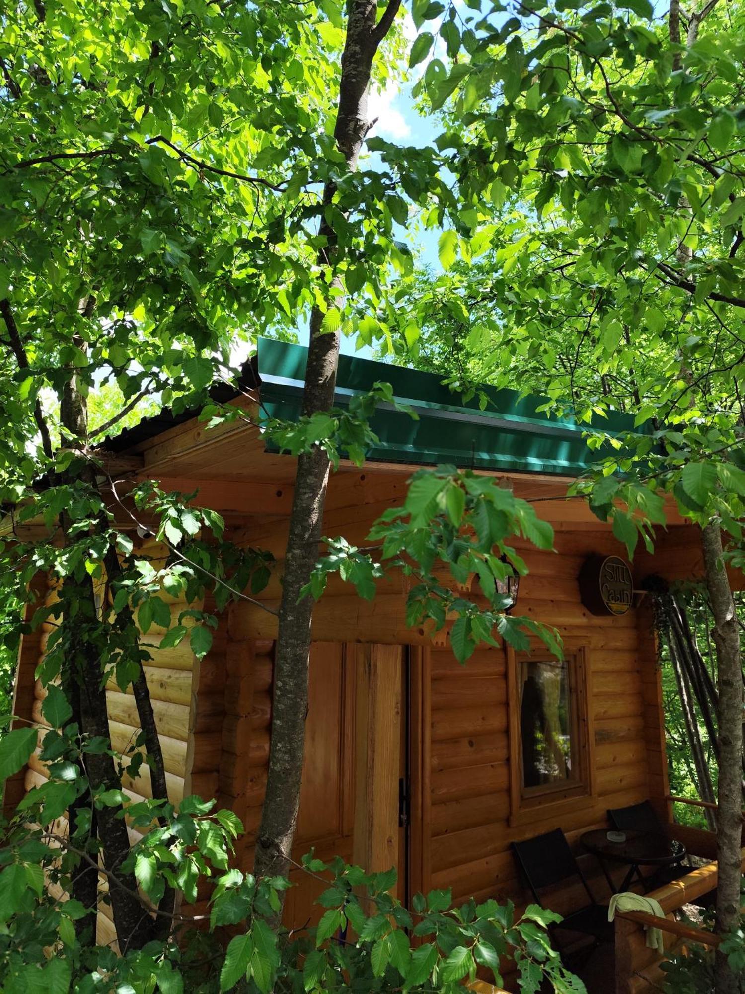 Still Cabin Cetinje Luaran gambar